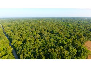 TRACT 78 - ILLINOIS LAND AUCTION - 4,810+/- ACRES OFFERED IN 85 TRACTS IN FRANKLIN, WILLIAMSON, HAMILTON & SALINE COUNTIES, ILLINOIS